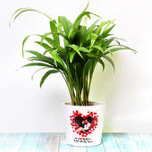 Personalised Areca Palm Plant for Birthday