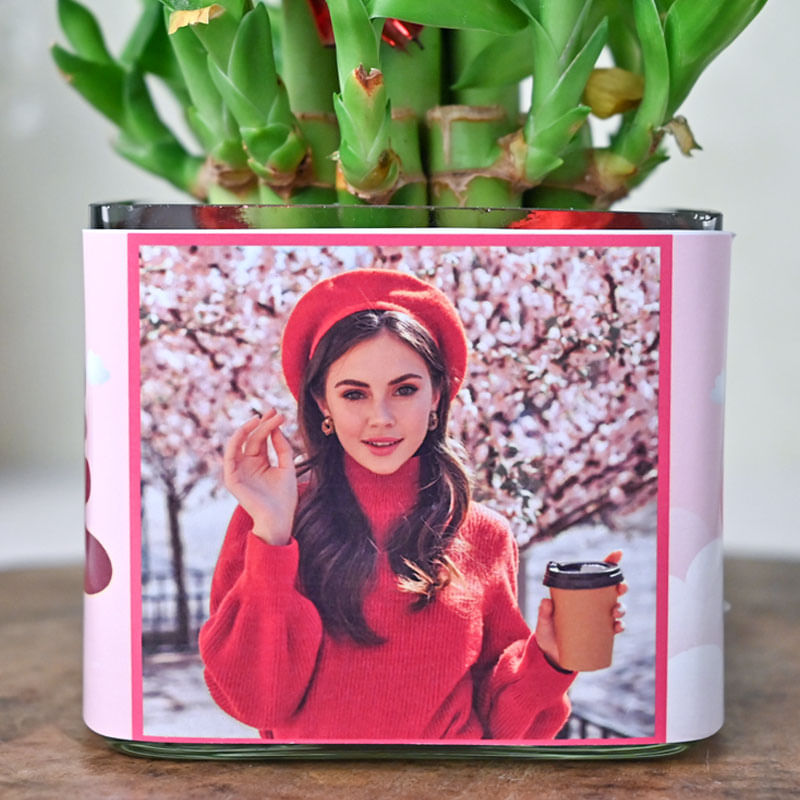 Personalised Lucky Bamboo Plant Online