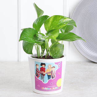 Personalised Money Plant