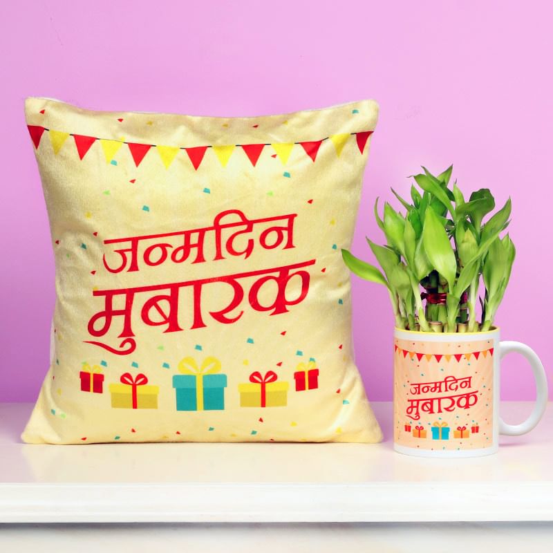 One Printed Ceramic Mugwith Printed Cushion and 2 Layer Lucky Bamboo