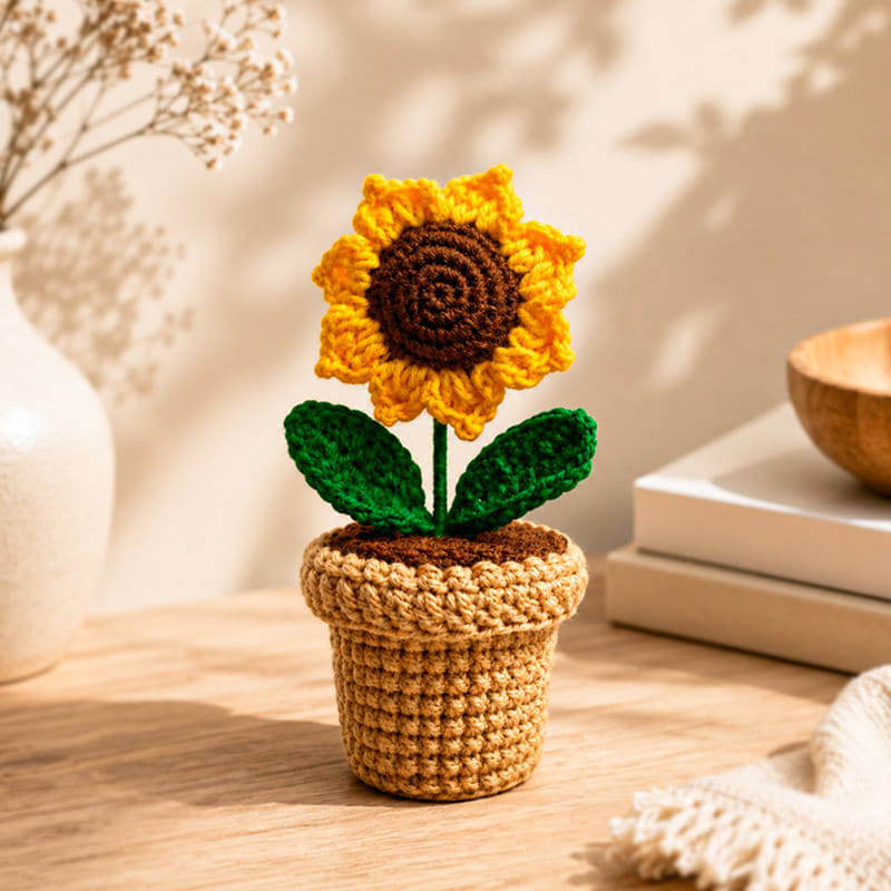 Product Image Video