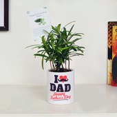 Podocarpus Plant in Personalise Mug