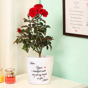 A Personalised Rose Plant Gift