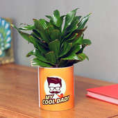 Dracena Compacta Plant in Personalised Vase for Dad