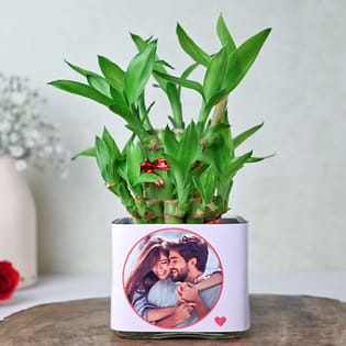 Personalized Lovely Bamboo Plant