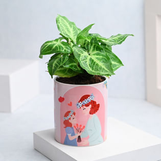 Order Personalized Mug Vase Syngonium for Mothers Day