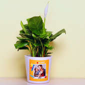 Spathiphyllum Plant in Personalised Vase for Dad