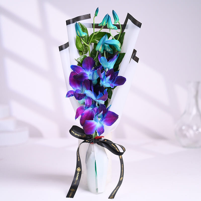 Product Image Video