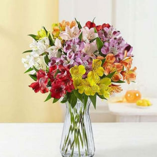 Colorful Peruvian Lily Vase