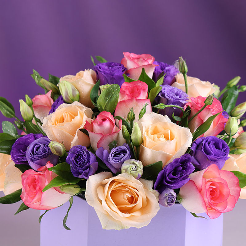 Product Image Video