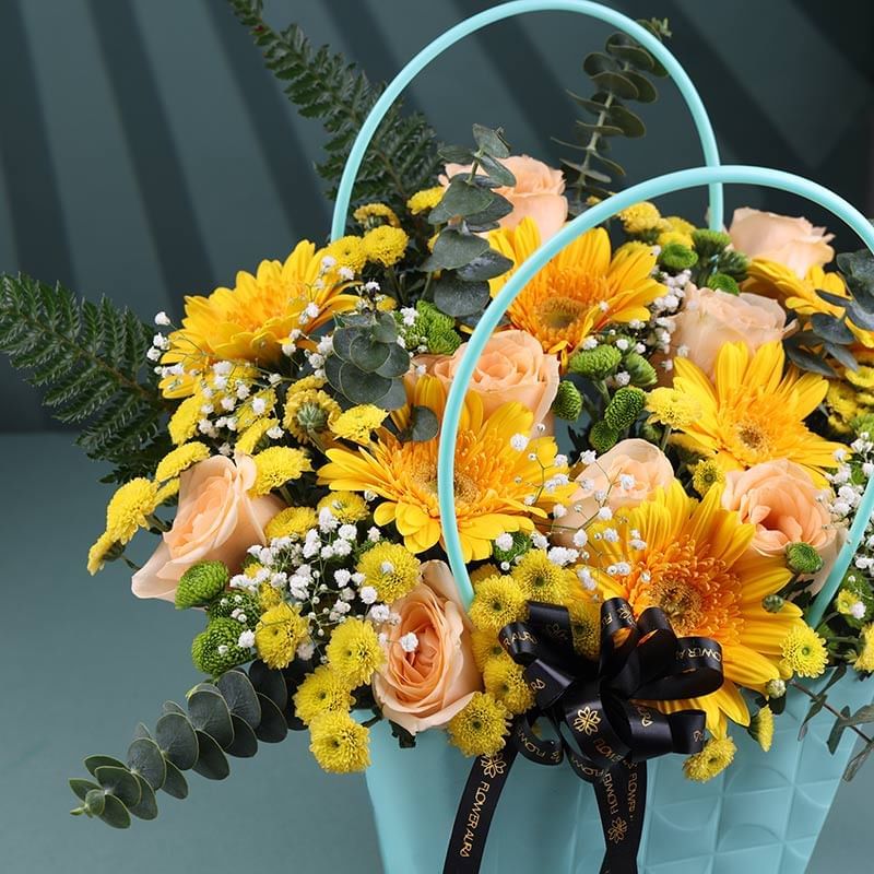 Product Image Video