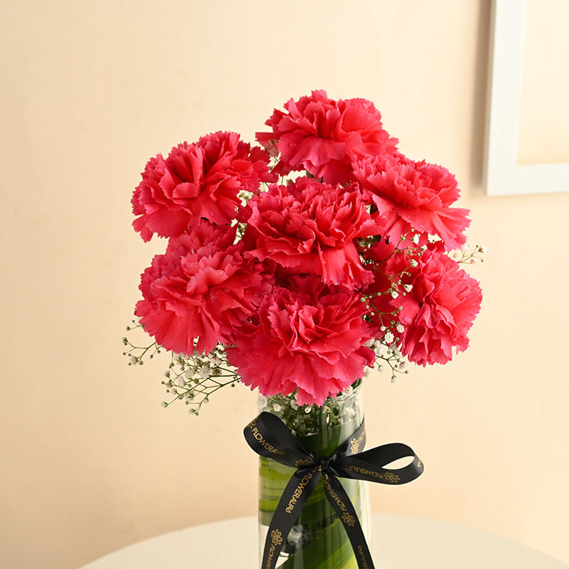 Pink Carnations