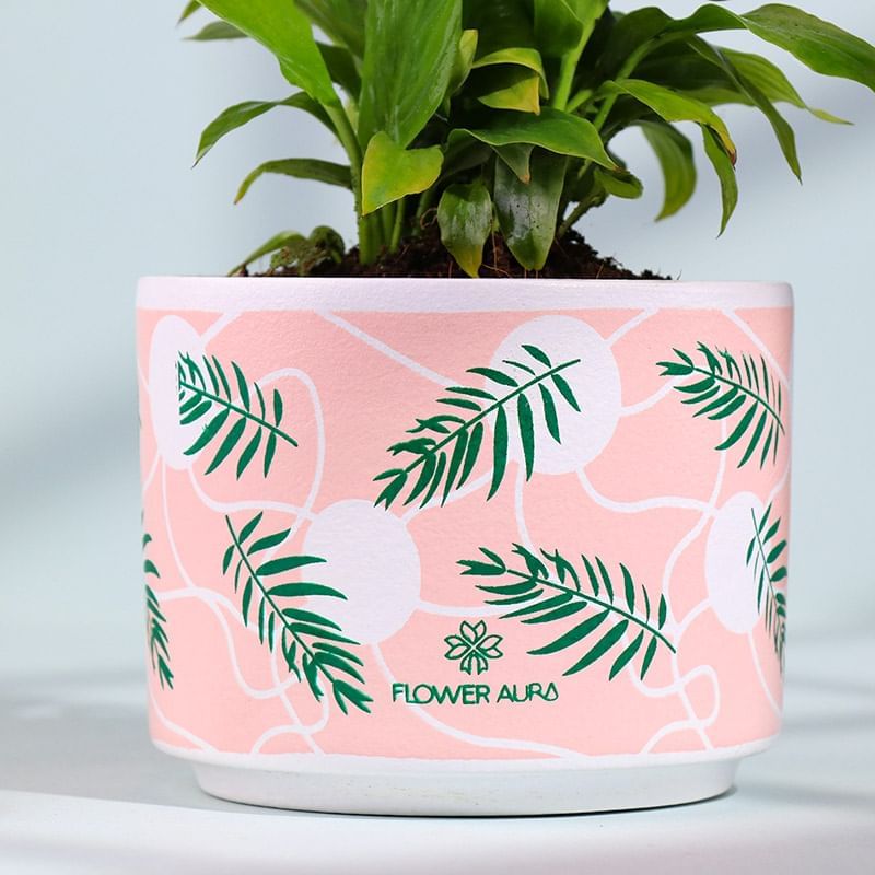 Product Image Video