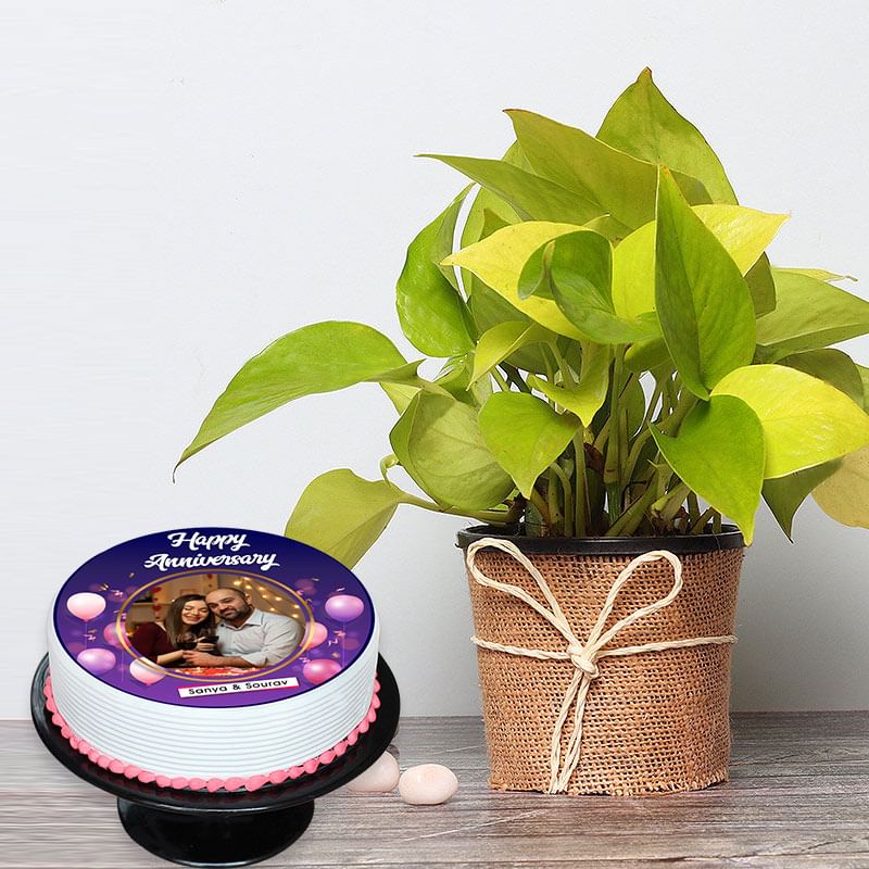 Photo Cake N Money Plant Combo