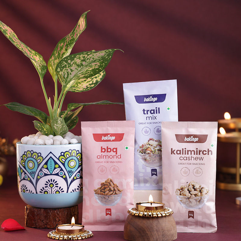 Pink Aglaonema Plant With Dryfruits N Diyas