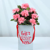 Pink Carnation Bouquet for Best Sister Ever