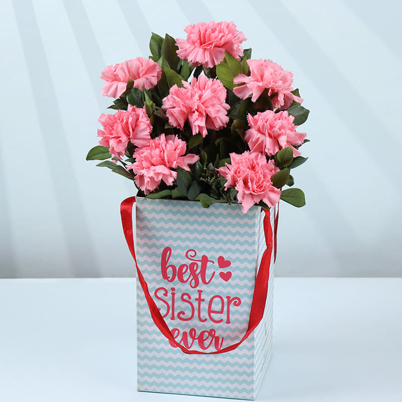 Product Image Video
