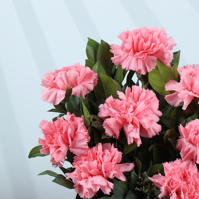 Product Image Video