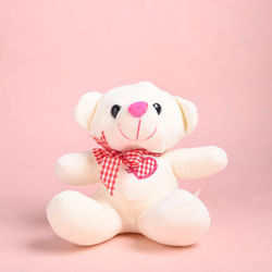 Adorable Furry Teddy 
