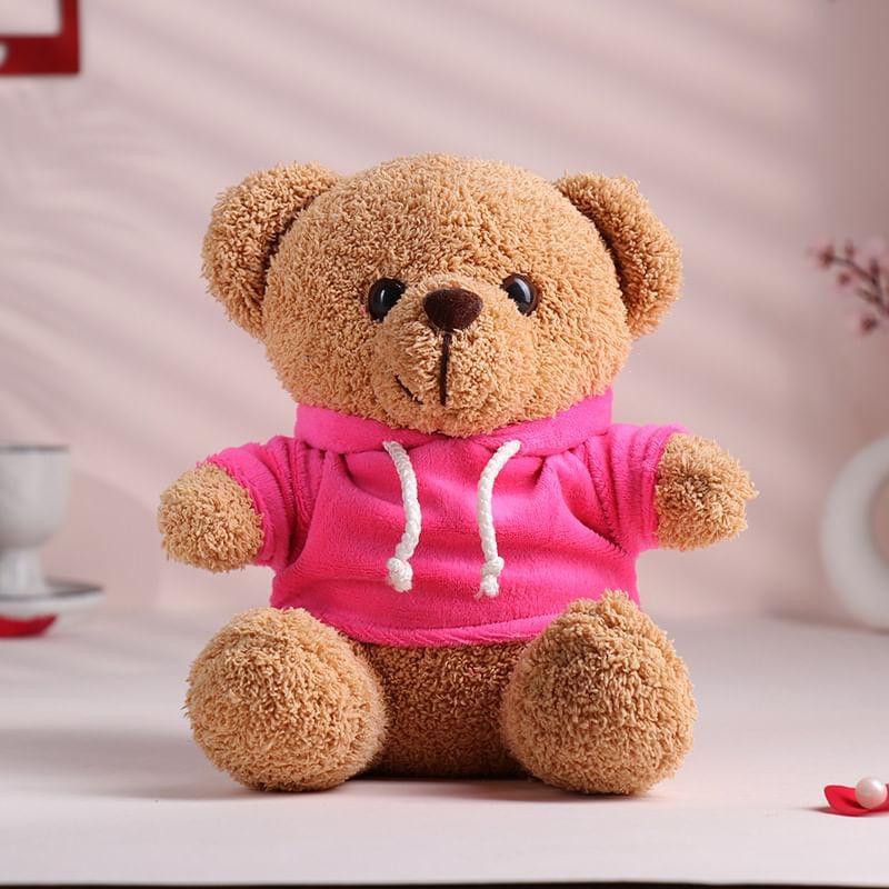 Pink Hoodie Teddy Bear