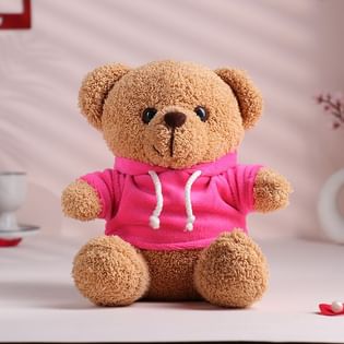 Pink Hoodie Teddy Bear