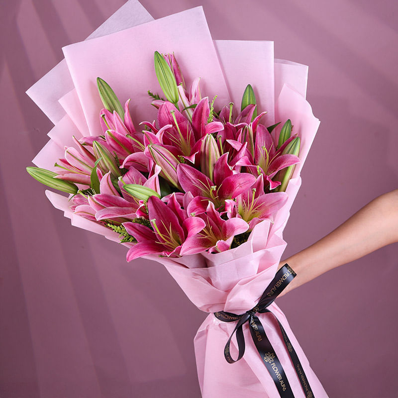 Pink Lily Splendour