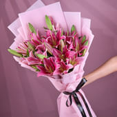 Pink Lily Splendour