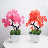 Buy Pink N Orange Bonsai Duo Online