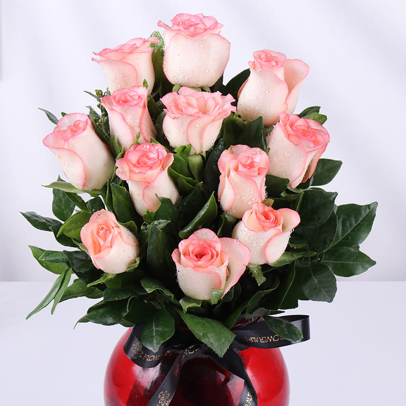 Product Image Video