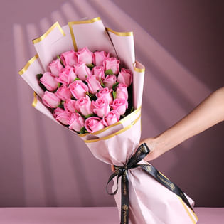 Pink Rose Petals Draped In Dawnlight