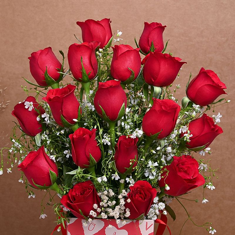 Red Roses N Teddy Combo