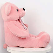 Side View of Pink Teddy Bear