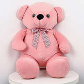 Front View of Pink Teddy Bear