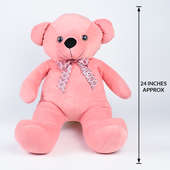 Measurement of Pink Teddy Bear