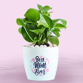 Mothers Day Plants