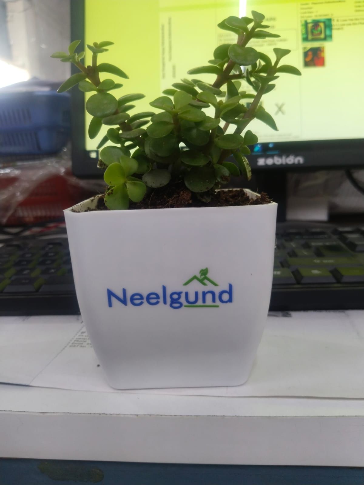 Neelgund Plant Product