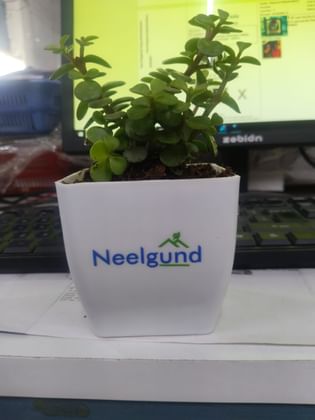 Neelgund Plant Product