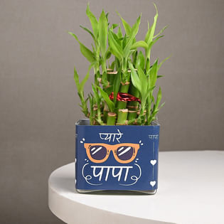 Plant For Pyaare Papa