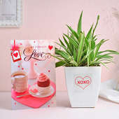 Plant N Card Valentines Combo