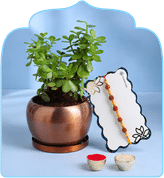 Rakhi with Plants