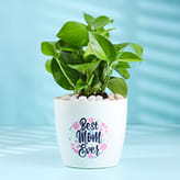 Mother's Day Plants