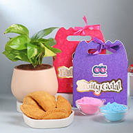 Holi Plant Hampers