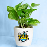 Father's Day Plants