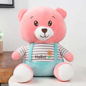 Plush Pink Cuddly Teddy
