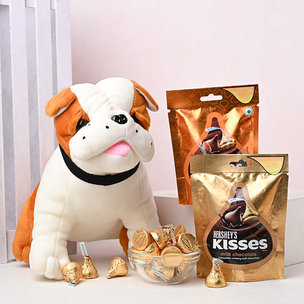 Plushy Pug With Chocolates