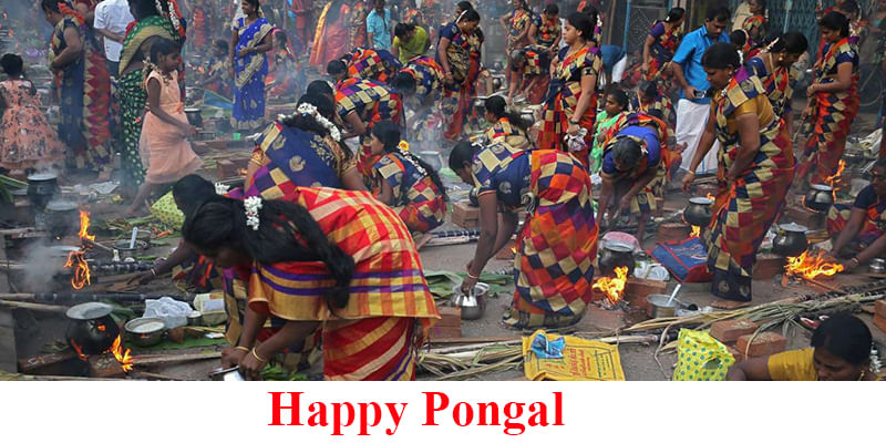 Why Do We Celebrate Pongal?