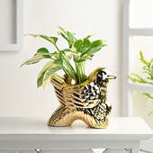 Pothos Plant In Golden Bird Ceramic Pot