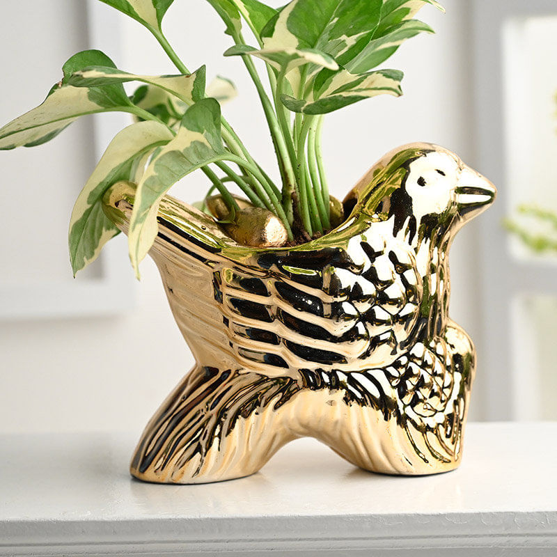 Golden Bird Ceramic Pot