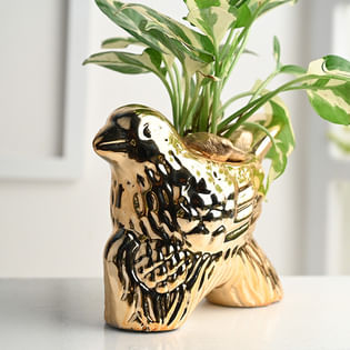 Buy Golden Bird Ceramic Pot