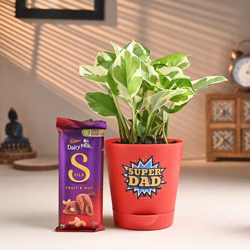 Pothos Plant N Chocolates For Dad
